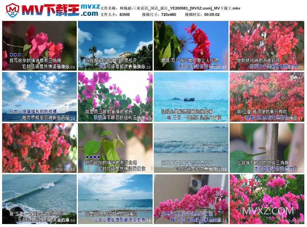 帅翰超-三亚花语_国语_流行_YE200583